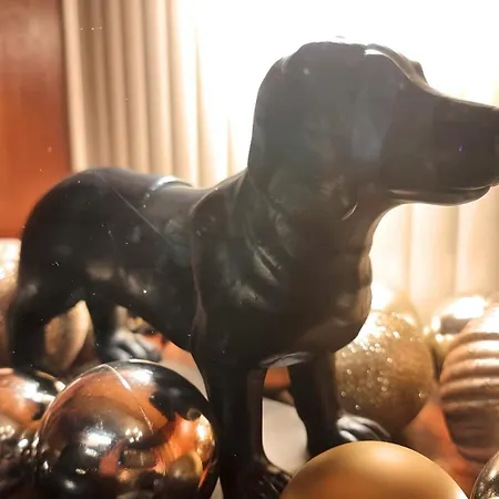 42 Is The Answer- Stunning Townhouse Appearing On Tv Show Prázdninový dům *